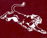 pantherpouncej.jpg