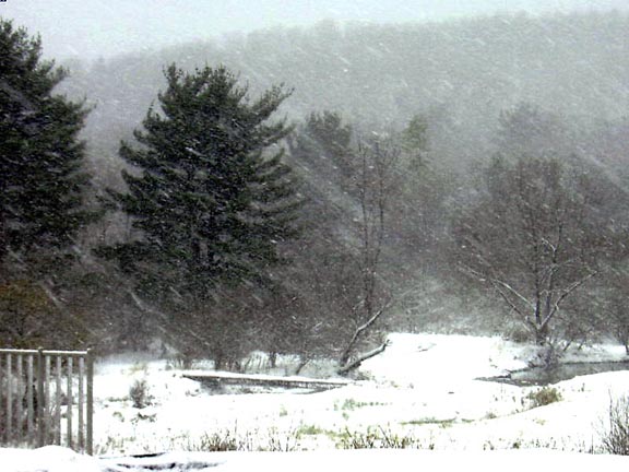 wimpsnowj.jpg