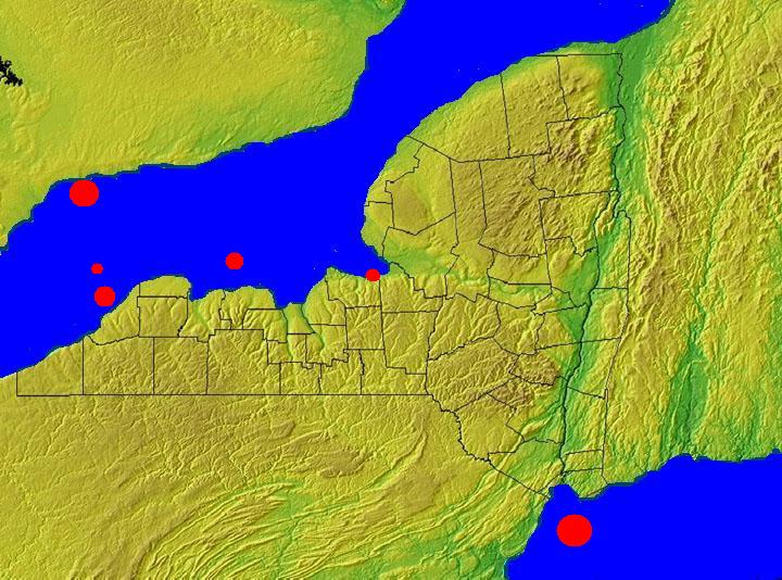 zcitiesunderwater.jpg